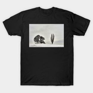 Warlies Park Winter Scene T-Shirt